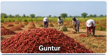Guntur